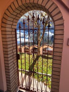 IMG_20241122_114849